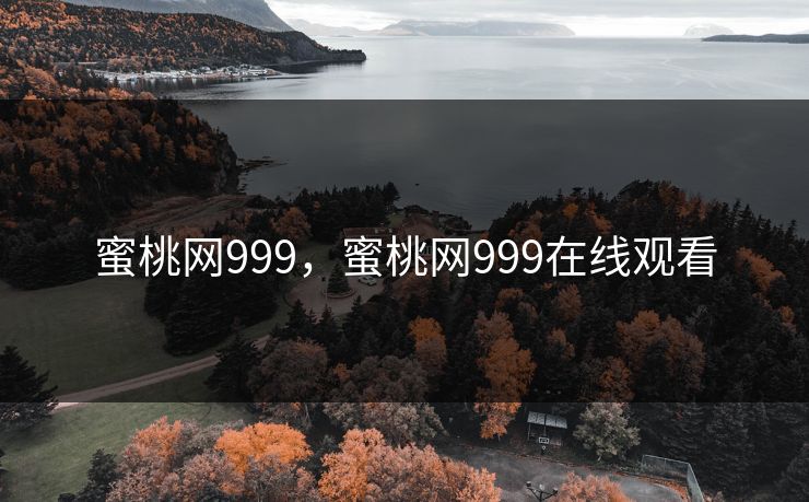 蜜桃网999，蜜桃网999在线观看