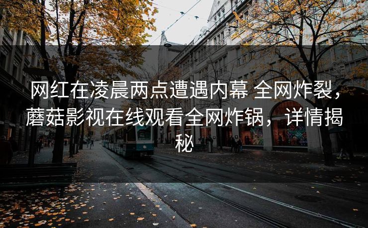 网红在凌晨两点遭遇内幕 全网炸裂，蘑菇影视在线观看全网炸锅，详情揭秘