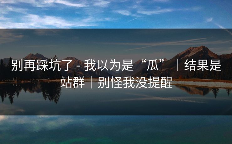 别再踩坑了 - 我以为是“瓜”｜结果是站群｜别怪我没提醒